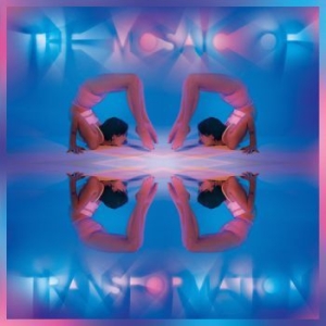 Kaitlyn Aurelia Smith - The Mosaic Of Transformation in the group VINYL / Vinyl Electronica at Bengans Skivbutik AB (3822954)