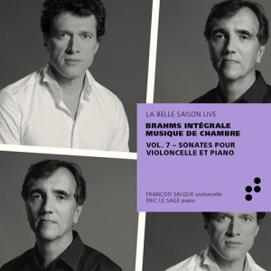 Brahms Johannes - Integrale Musique De Chambre, Vol. in the group CD / Klassiskt at Bengans Skivbutik AB (3824586)