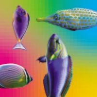 MATSUMURA TOSHIOKI - A VISUAL BRAIN: 1986-1993 in the group VINYL / Film/Musikal at Bengans Skivbutik AB (3829373)