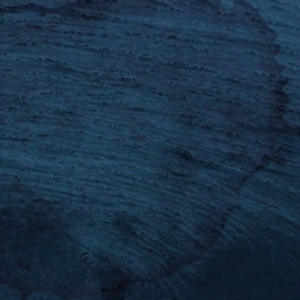 Multicast Dynamics - Aquatic System in the group OTHER / Övrigt /  at Bengans Skivbutik AB (3829687)