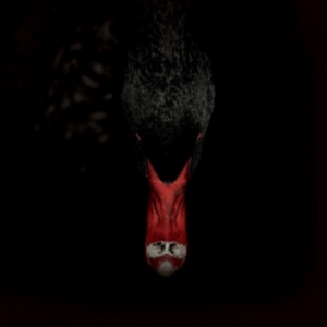 Sankt Otten + N - Mannerfreundschaften Und Metaphysik in the group VINYL / Pop-Rock at Bengans Skivbutik AB (3829707)