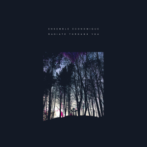 Ensemble Economique - Radiate Through You in the group VINYL / Pop-Rock at Bengans Skivbutik AB (3829730)