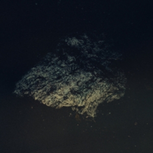 Multicast Dynamics - Lost World in the group OTHER / Övrigt /  at Bengans Skivbutik AB (3829748)