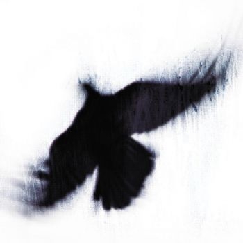 Blueneck - The Fallen Host in the group CD / Pop at Bengans Skivbutik AB (3829856)