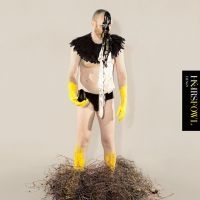 Heirs - Fowl in the group CD / Pop-Rock at Bengans Skivbutik AB (3829867)
