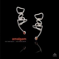 Perelman Ivo & Matthew Shipp - Amalgam in the group CD / Jazz at Bengans Skivbutik AB (3833055)