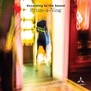 According To The Sound - Prism A Ning in the group CD / Jazz/Blues at Bengans Skivbutik AB (3835036)