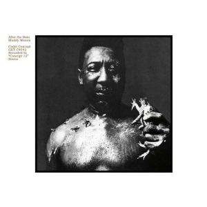 Muddy Waters - After the Rain in the group VINYL / Jazz at Bengans Skivbutik AB (3837081)