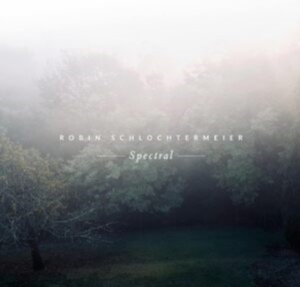 Schlochtermeier Robin - Spectral (Color Vinyl) in the group OTHER / Övrigt /  at Bengans Skivbutik AB (3838866)