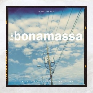 Joe Bonamassa - A New Day Now in the group VINYL / Blues,Pop-Rock at Bengans Skivbutik AB (3839238)