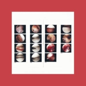 Cradle - Laughing In My Sleep in the group VINYL / Pop-Rock at Bengans Skivbutik AB (3840122)