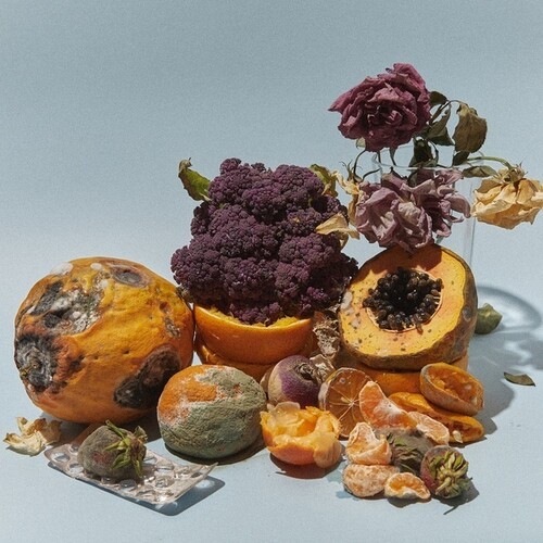 Dinucci Kiko - Rastilho (Coloured Vinyl) in the group VINYL / Rock at Bengans Skivbutik AB (3840165)