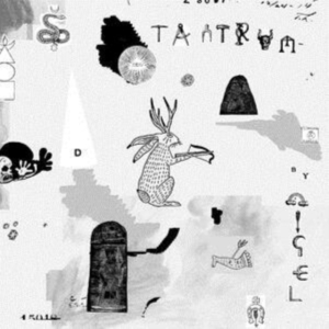 Nigel - Tantrum in the group CD / Pop-Rock at Bengans Skivbutik AB (3840219)