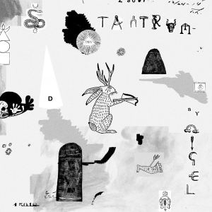 Nigel - Tantrum in the group CD / Pop-Rock at Bengans Skivbutik AB (3840219)