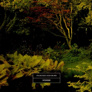 14 ICED BEARS - WONDER in the group OTHER / Övrigt /  at Bengans Skivbutik AB (3842191)