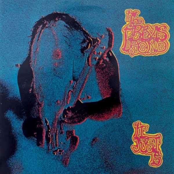 Bevis Frond The - It Just Is in the group CD / Bestsellers at Bengans Skivbutik AB (3842267)