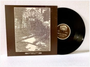 November Grief - Evil-Ution (Vinyl) in the group VINYL / Hårdrock at Bengans Skivbutik AB (3842348)