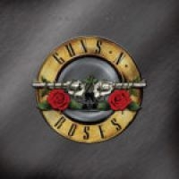 Guns N' Roses - Greatest Hits (2Lp) in the group VINYL / Best Of,Hårdrock,Pop-Rock at Bengans Skivbutik AB (3843002)