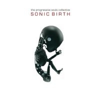 Progressive Souls Collective The - Sonic Birth in the group CD / Hårdrock/ Heavy metal at Bengans Skivbutik AB (3843770)