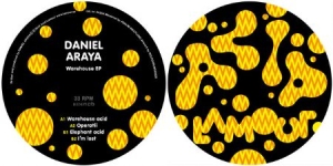 Daniel Araya - Warehouse EP in the group VINYL / Svensk Musik at Bengans Skivbutik AB (3844146)