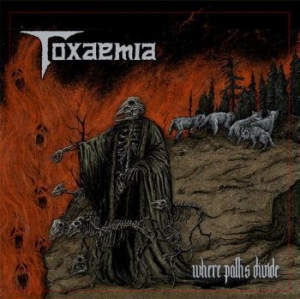 Toxaemia - Where Paths Divide in the group VINYL / Hårdrock at Bengans Skivbutik AB (3844219)