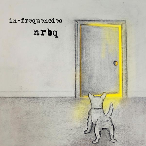 NRBQ - In Frequencies in the group CD / Rock at Bengans Skivbutik AB (3844466)