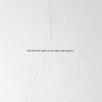 Prairie - And The Bird Said: Cut Me Open And in the group Labels / Woah Dad /  at Bengans Skivbutik AB (3846184)
