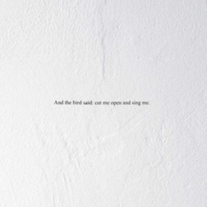 Prairie - And The Bird Said: Cut Me Open And in the group Labels / Woah Dad /  at Bengans Skivbutik AB (3846185)