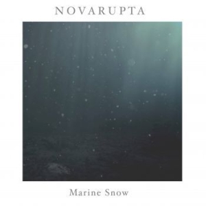 Novarupta - Marine Snow in the group OUR PICKS / Album Of The Year 2020 / Bengans Sthlm Årsbästa 2020 at Bengans Skivbutik AB (3860028)