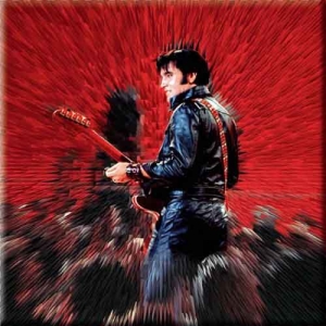 Elvis Presley - FRIDGE MAGNET: SHINE in the group OTHER / MK Export CDON Merch at Bengans Skivbutik AB (3882403)