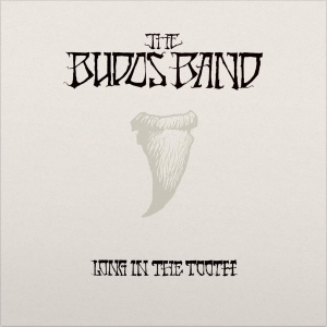 Budos Band The - Long In The Tooth in the group VINYL / Pop-Rock at Bengans Skivbutik AB (3894424)