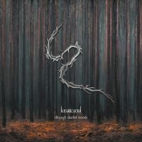 Lunatic Soul - Through Shaded Woods in the group OTHER / MK Test 4 at Bengans Skivbutik AB (3900174)