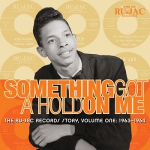 Blandade Artister - Something Got A Hold On Me: in the group CD / RnB-Soul at Bengans Skivbutik AB (3900409)