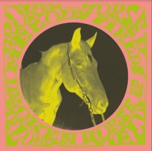 Melody Fields - Broken Horse in the group VINYL / Pop-Rock,Svensk Musik at Bengans Skivbutik AB (3903361)