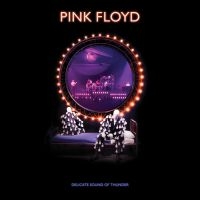 Pink Floyd - Delicate Sound Of Thunder (2Cd in the group CD / CD Popular at Bengans Skivbutik AB (3903485)