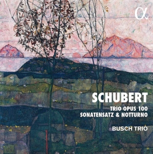Schubert Franz - Trio, Op. 100 Sonatensatz Notturn in the group Externt_Lager /  at Bengans Skivbutik AB (3903495)