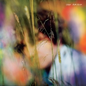 Sam Amidon - Sam Amidon in the group OTHER / Övrigt /  at Bengans Skivbutik AB (3903593)