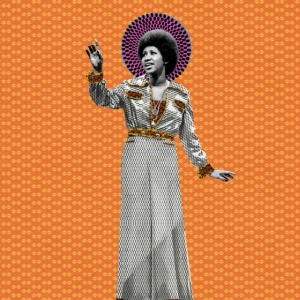 Aretha Franklin - Aretha in the group OTHER / Övrigt /  at Bengans Skivbutik AB (3906425)