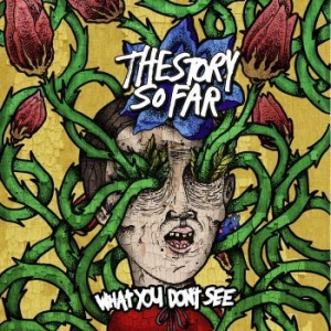 Story So Far - What You Don't See in the group VINYL / Rock at Bengans Skivbutik AB (3910866)