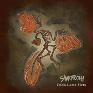 Sharptooth - Transitional Forms in the group OUR PICKS / Album Of The Year 2020 / Kerrang 2020 at Bengans Skivbutik AB (3910940)