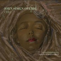 Overli Jorn Simen (Trio) - Vidunderlig in the group CD / Pop-Rock at Bengans Skivbutik AB (3913720)