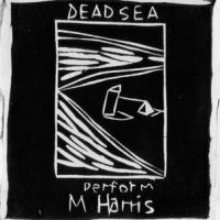 Dead C. - Max Harris in the group VINYL / Pop-Rock at Bengans Skivbutik AB (3915289)