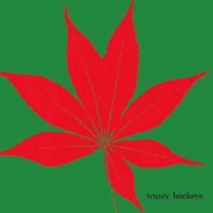 Wussy - Buckeye in the group CD / Pop at Bengans Skivbutik AB (3917820)