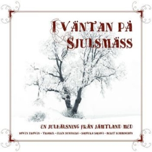 Blandade Artister - I Väntan På Sjulsmäss in the group Labels / Woah Dad /  at Bengans Skivbutik AB (3917839)