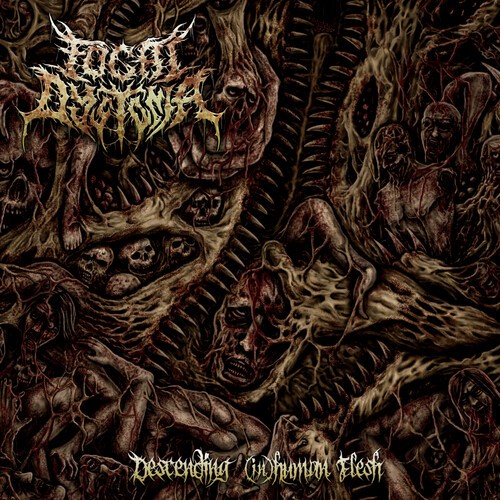 Focal Dystonia - Descending (In)Human Flesh in the group CD / Bestsellers at Bengans Skivbutik AB (3919505)