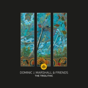 Dominic J. Marshall - Triolithic in the group CD / Jazz at Bengans Skivbutik AB (3920918)