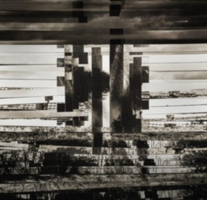 Barst - Western Lands in the group CD / Ambient,Dance-Techno at Bengans Skivbutik AB (3921139)