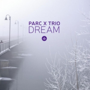 Parc X Trio - Dream in the group CD / Jazz at Bengans Skivbutik AB (3921418)