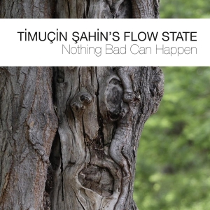 Timucin Sahin's Flow Stat - Nothing Bad Can Happen in the group CD / Jazz at Bengans Skivbutik AB (3922394)