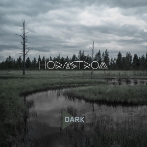 Hornstrom - Dark in the group CD / Jazz at Bengans Skivbutik AB (3922395)